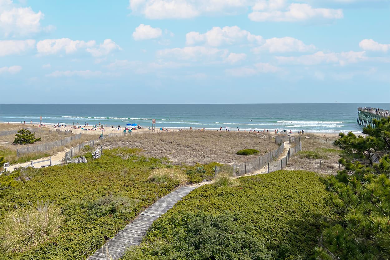 Ocean Views
