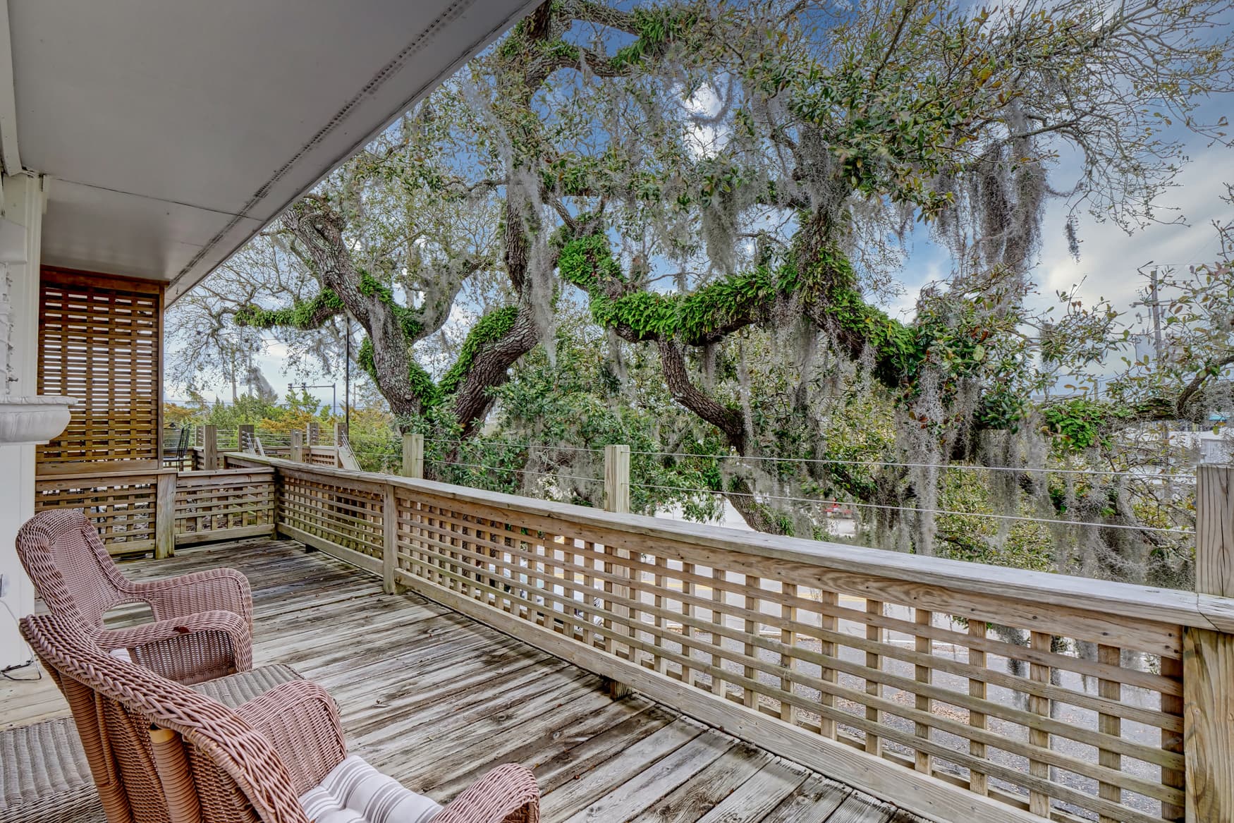 Nestled in the trees!